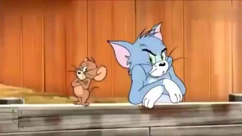 新猫新鼠爆料视频大全下载,揭秘幕后精彩瞬间 第3张 新猫新鼠爆料视频大全下载,揭秘幕后精彩瞬间 第3张